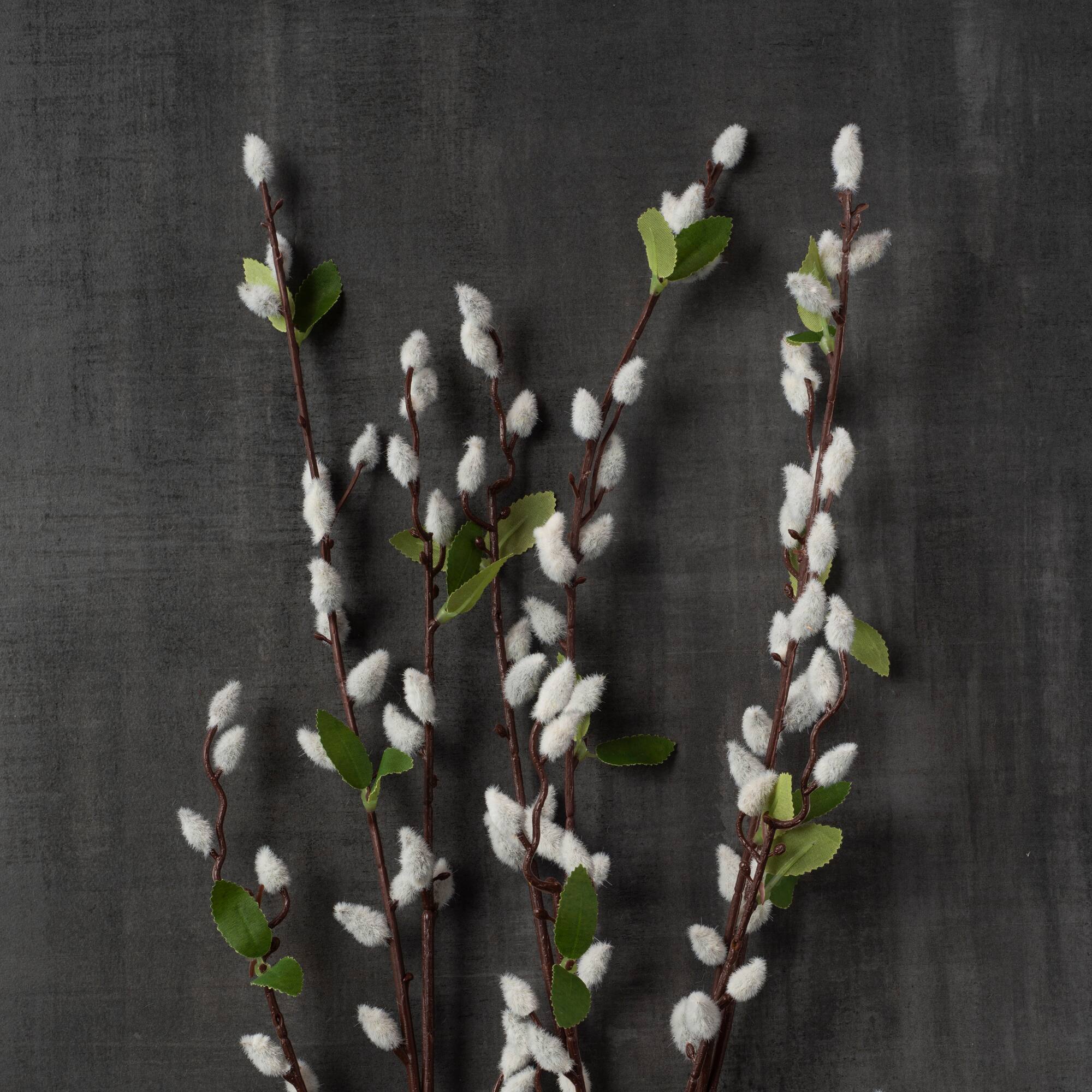 Cream Willow Branch Stem by Ashland®